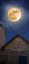 seller-image