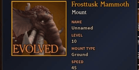 Product Showcase