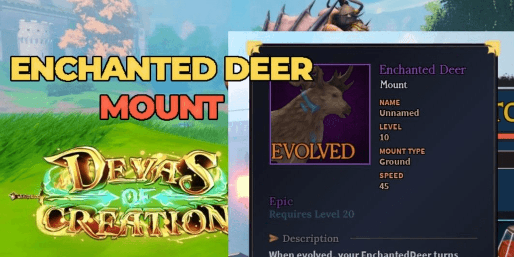 Product Showcase