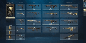 VALORANT ACCOUNT - LEVEL 50+ - 10+ SKINS - FULL ACCESS - SUPER CHEAP