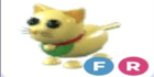 product-image-0