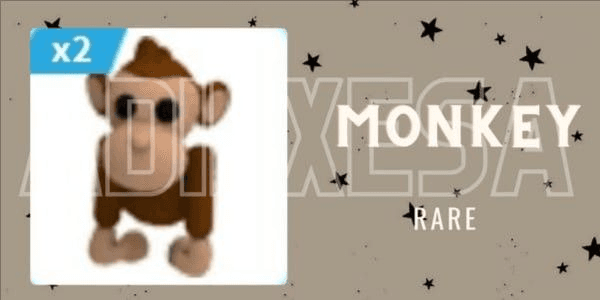 Gambar Product Monkey