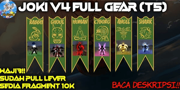Gambar Product Jasa V4 Full Gear