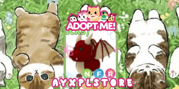 Gambar Product NFR Dragon - Adopt Me