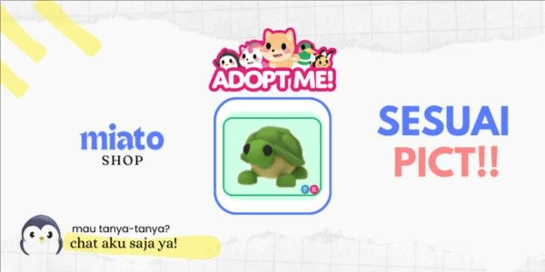 Gambar Product FR Turtle