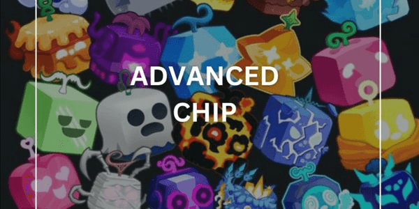 Gambar Product Advance Chip Carry
