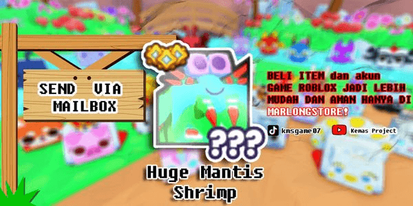 Gambar Product Huge Mantis Shrimp