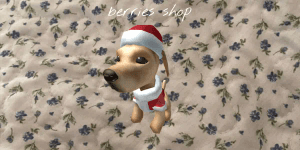 Santa Dog