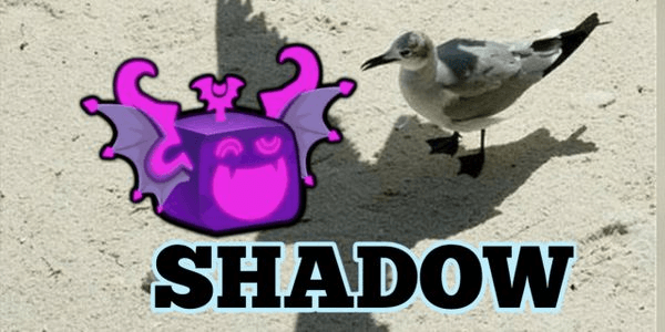 Gambar Product Shadow (Natural)