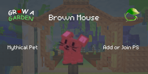 Product Showcase