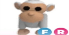 product-image-0