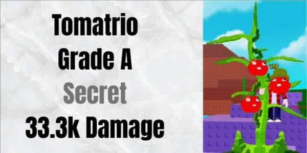 Gambar Product Tomatrio Grade A (Secret)