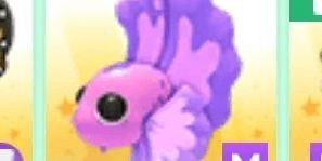 Gambar Product Mega Neon Pink Betta Fish