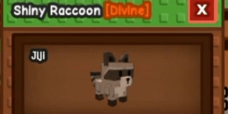 Gambar Product Pet Raccoon ( Grow A Garden )