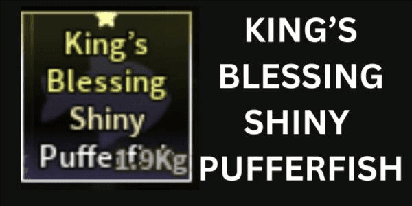 Gambar Product Shiny King'S Blessing Pufferfish