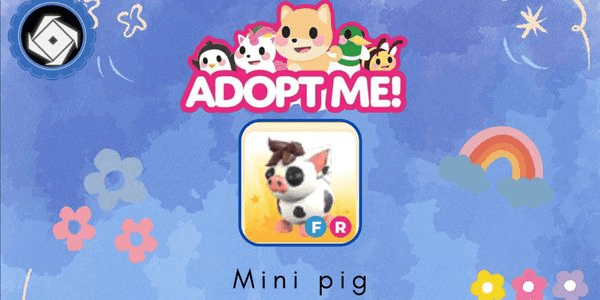 Gambar Product Mini Pig