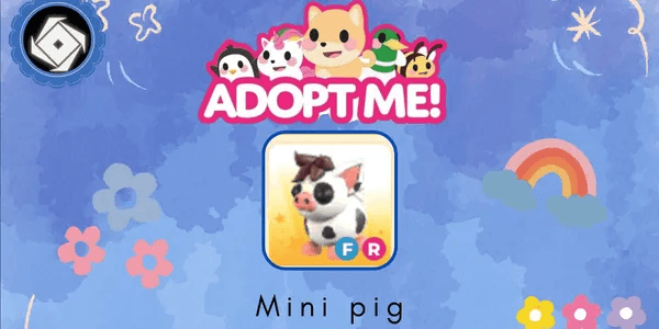 Mini Pig