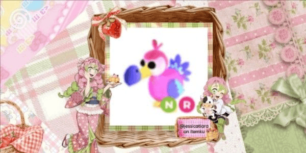 Gambar Product dodo ( nr )