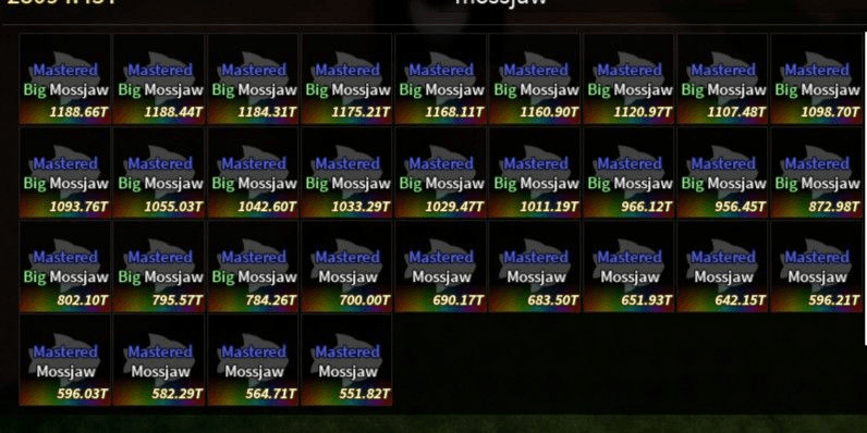 Product Showcase
