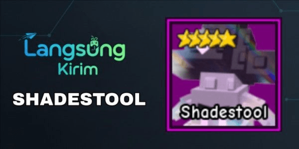 Product Showcase