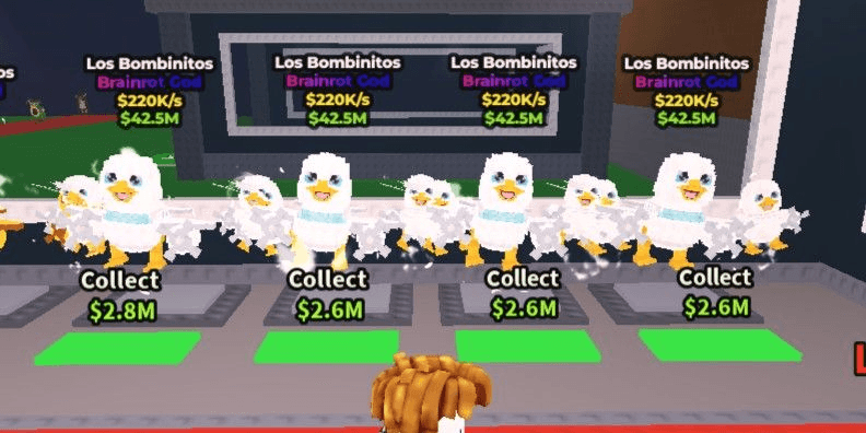 Product Showcase