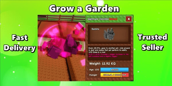 Gambar Product Nightmare Chinchilla Age 100 Weight 12KG ++