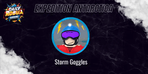 Storm Goggles