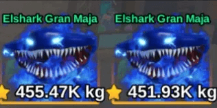 Elshark Gran Maja - fish it
