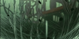 Gambar Product Genuine Weather Pestilence (Weather)