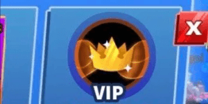 VIP