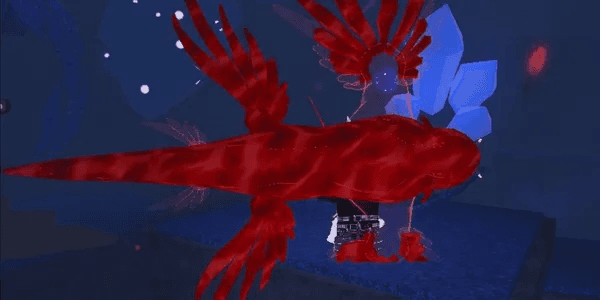 Crimson Colossal Blue Dragon Fisch
