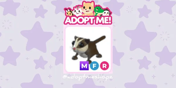 Sugar Glider