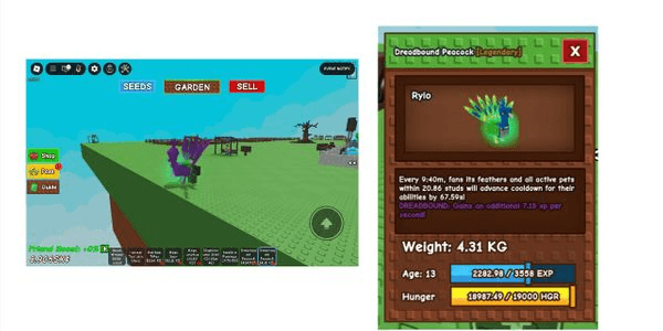 Gambar Product DREADBOUND PEACOCK - COOLDOWN 9 MENIT TANPA TOY - BONUS RANDOM