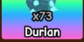 Durian Fruits