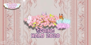 Spring Halo 2020