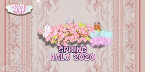 Spring Halo 2020