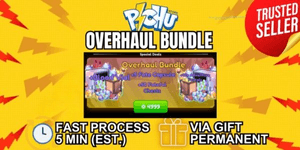 Overhaul Bundle