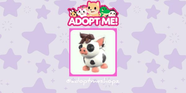 Gambar Product Mini Pig