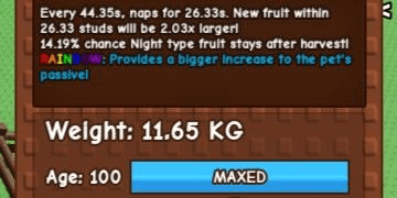 Gambar Product Rainbow Moon Cat Age 100