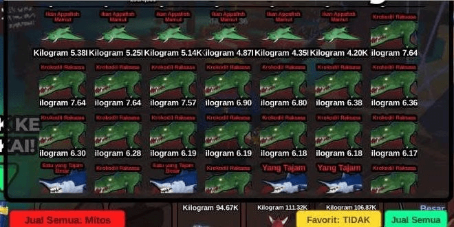 Product Showcase