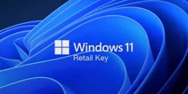 Gambar Product Windows 11 Professional