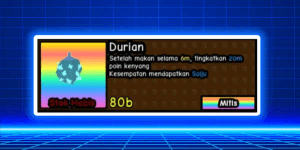 1 Durian