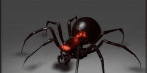 Gambar Product Widow of the Undermount Gloom (Broodmother Set Aghanim's 2021 Collector's Cache)