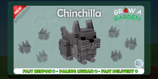 Gambar Product Chinchilla - Grow A Garden