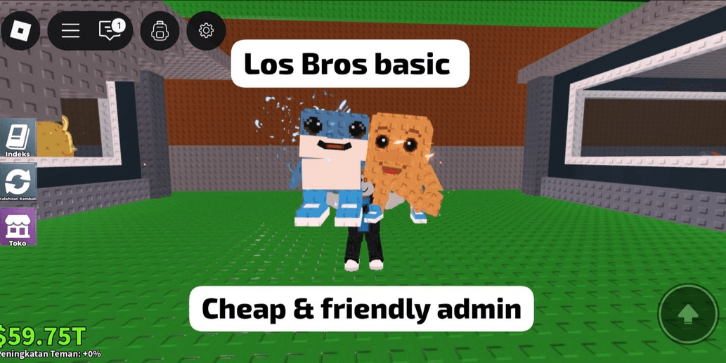 Product Showcase