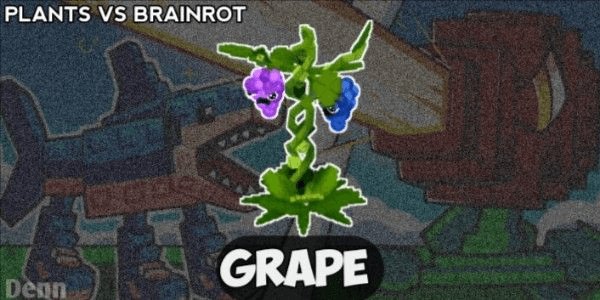 Gambar Product Grape