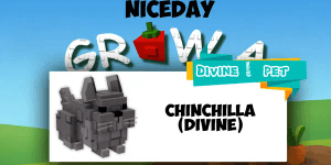 Chinchilla Grow A Garden
