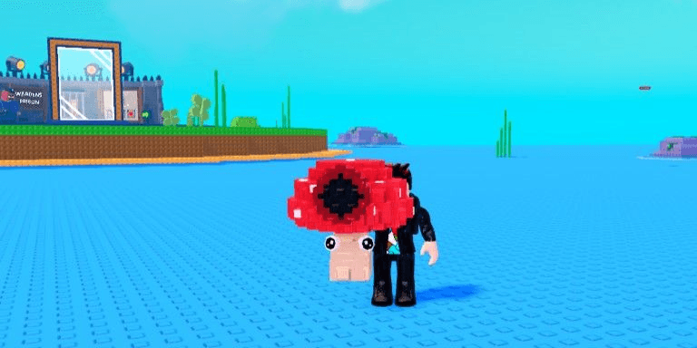 Product Showcase