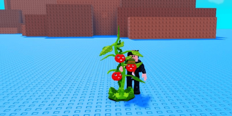 Product Showcase