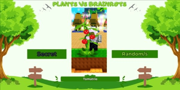 Product Showcase